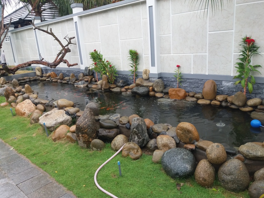 Tiểu cảnh hồ cá